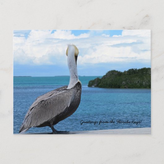 Grüße aus der Postkarte der Florida Keys (Vorderseite)