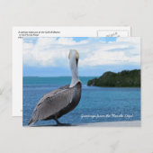 Grüße aus der Postkarte der Florida Keys (Vorne/Hinten)