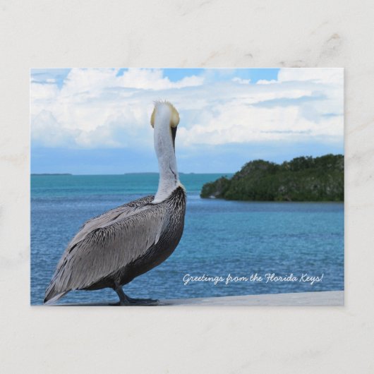 Grüße aus der Postkarte der Florida Keys (Vorderseite)