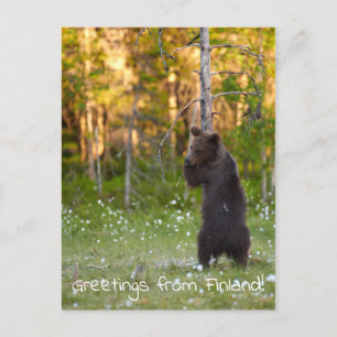 Grüße aus Finnland Postkarte