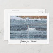 Grüße aus Finnland Postkarte (Vorne/Hinten)