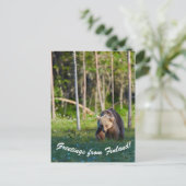 Grüße aus Finnland Postkarte (Stehend Vorderseite)