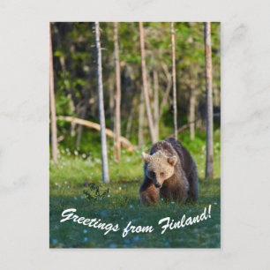 Grüße aus Finnland Postkarte
