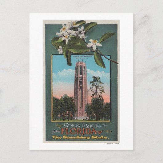 Grüße aus Florida & Bild des Gesangs Postkarte (Vorderseite)