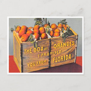 Grüße aus Florida Box Orangen Vintag Postkarte