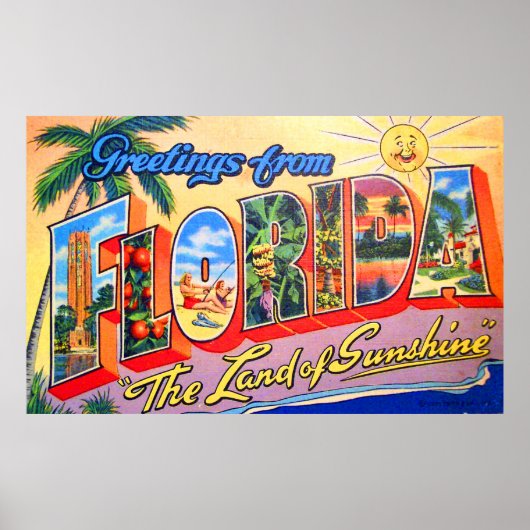Grüße aus Florida, dem Land der Sonne Poster (Vorne)