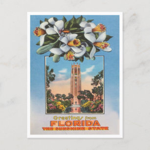 Grüße aus Florida, dem Sunshine Staat Travel Postkarte
