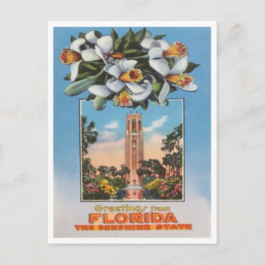 Grüße aus Florida, dem Sunshine Staat Travel Postkarte (Vorderseite)