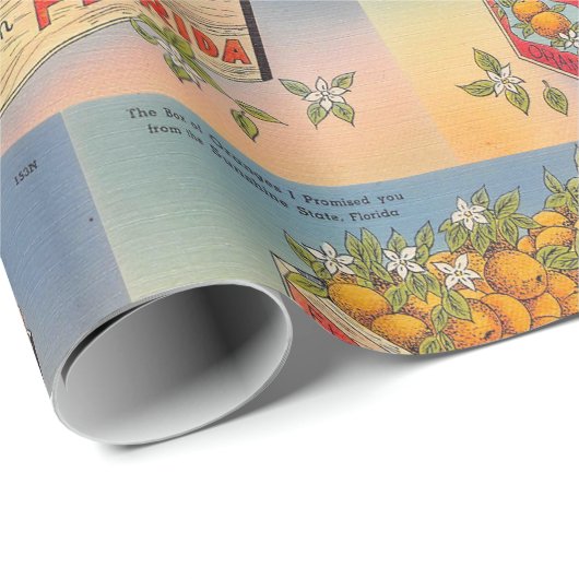 Grüße aus Florida Geschenkpapier (Rolleneckpunkt)