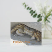 Grüße aus Florida Grußenkarte Postkarte (Stehend Vorderseite)