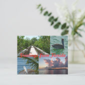 Grüße aus Florida Grußenkarte Postkarte (Stehend Vorderseite)