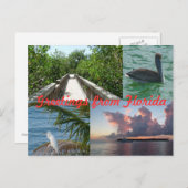 Grüße aus Florida Grußenkarte Postkarte (Vorne/Hinten)