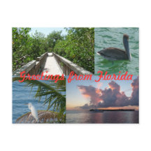 Grüße aus Florida Grußenkarte