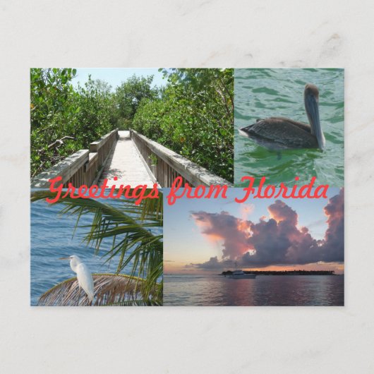Grüße aus Florida Grußenkarte Postkarte (Vorderseite)
