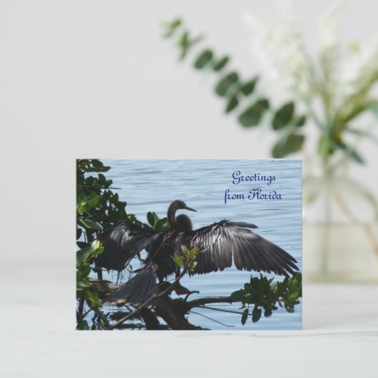 Grüße aus Florida Grußenkarte Postkarte (Stehend Vorderseite)