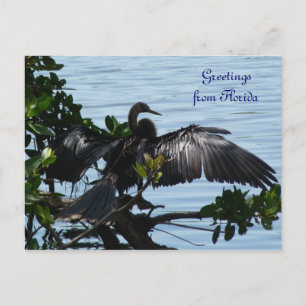 Grüße aus Florida Grußenkarte Postkarte