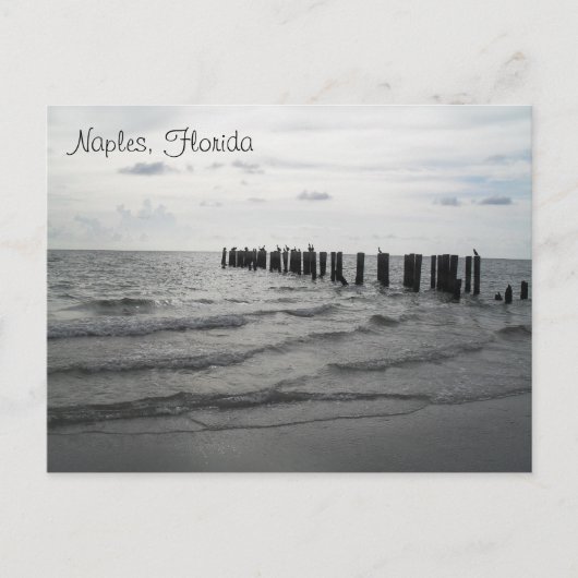 Grüße aus Florida Grußkarte Postkarte (Vorderseite)