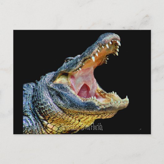 Grüße aus Florida Postkarte (Vorderseite)