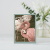 Grüße aus Florida Postkarte (Stehend Vorderseite)