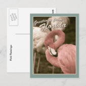 Grüße aus Florida Postkarte (Vorne/Hinten)