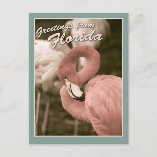 Grüße aus Florida Postkarte (Vorderseite)
