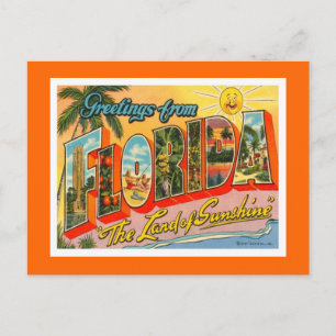 Grüße aus Florida Postkarte