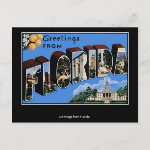Grüße aus Florida Postkarte