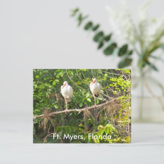 Grüße aus Florida! Postkarte (Stehend Vorderseite)