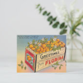 Grüße aus Florida! Postkarte (Stehend Vorderseite)