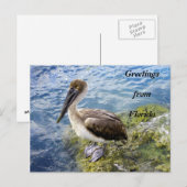 Grüße aus Florida Postkarte (Vorne/Hinten)