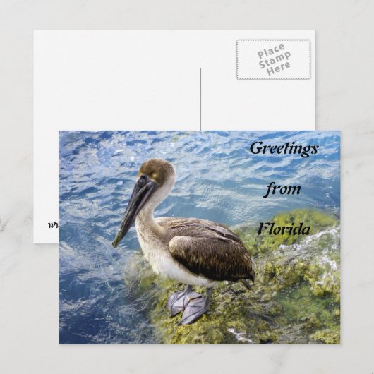 Grüße aus Florida Postkarte (Vorne/Hinten)