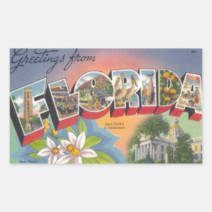 Grüße aus FLORIDA Rechteckiger Aufkleber