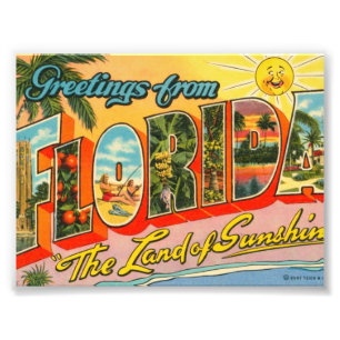 Grüße aus Florida Vintage Postkarte Fotodruck