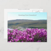 Grüße aus Grönland 10 Postkarte (Vorne/Hinten)