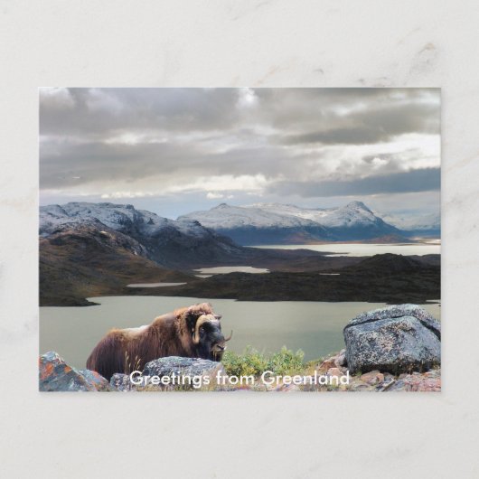 Grüße aus Grönland 13 Postkarte (Vorderseite)