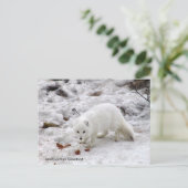 Grüße aus Grönland 18 Postkarte (Stehend Vorderseite)