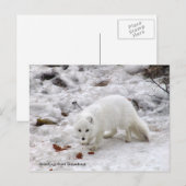 Grüße aus Grönland 18 Postkarte (Vorne/Hinten)