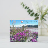 Grüße aus Grönland 5 Postkarte (Stehend Vorderseite)