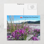 Grüße aus Grönland 5 Postkarte (Vorne/Hinten)