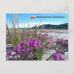 Grüße aus Grönland 5 Postkarte