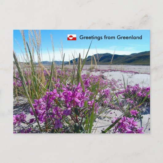 Grüße aus Grönland 5 Postkarte (Vorderseite)