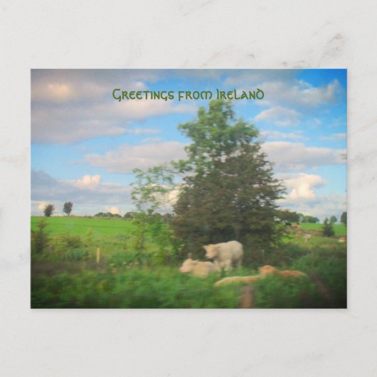 Grüße aus Irland Fotografie Postkarte (Vorderseite)
