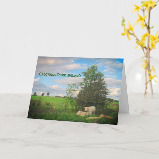 Grüße aus Irland Karte (Gelbe Blume)
