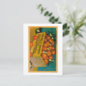 Grüße aus Kalifornien, Box of OrangeState Postkarte (Stehend Vorderseite)