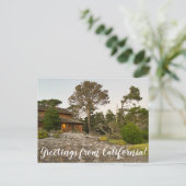 Grüße aus Kalifornien Postkarte (Stehend Vorderseite)