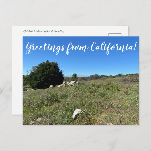 Grüße aus Kalifornien! Postkarte (Vorne/Hinten)