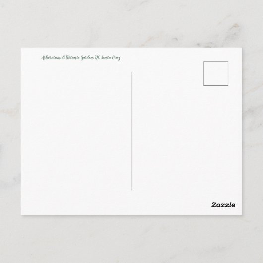 Grüße aus Kalifornien! Postkarte (Rückseite)