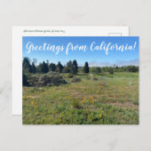 Grüße aus Kalifornien! Postkarte (Vorne/Hinten)