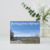 Grüße aus Kalifornien: Putah Creek Road Postkarte (Stehend Vorderseite)