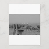 Grüße aus Long Island, NY Postkarte (Vorderseite)